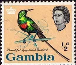 Gambia 1963 Birds SG 193 Fine Mint