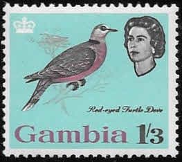 Gambia 1963 Birds SG 201 Red-eyed dove Fine Mint