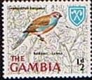 Gambia 1966 Birds SG 233 Fine Mint