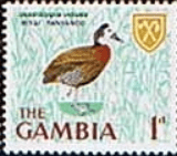 Gambia 1966 Birds SG 234 Fine Mint
