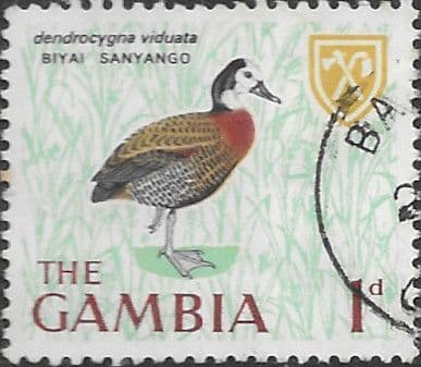 Gambia 1966 Birds SG 234 Fine Used