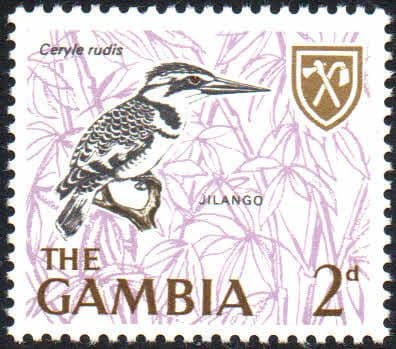 Gambia 1966 Birds SG 236 Fine Mint