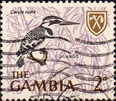 Gambia 1966 Birds SG 236 Fine Used