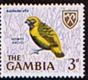 Gambia 1966 Birds SG 237 Golden Bishop Fine Mint