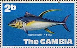 Gambia 1971 Fish SG 271 Yellow Tunney Fine Mint