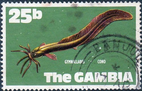 Gambia 1971 Fish SG 277 Rock Hind Fine Used
