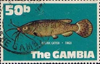 Gambia 1971 Fish SG 279 Electric Catfish Fine Used