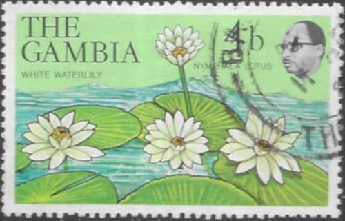 Gambia 1977 Flowers and Shrubs SG 372 Fine Used
