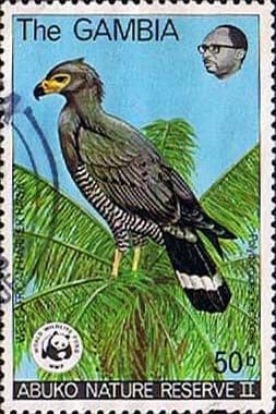 Gambia 1978 World Wildlife Fund Birds African Harrier Hawk Fine Used