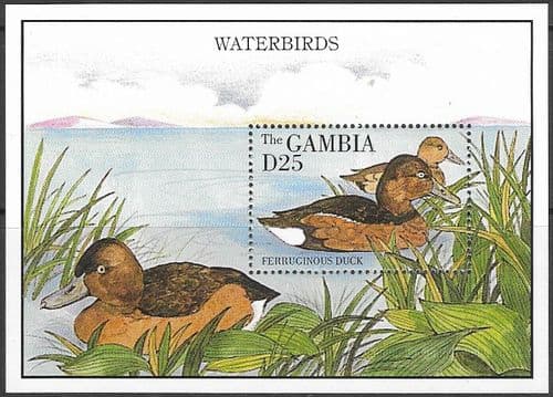 Gambia 1995 Water Birds MS 1984a Fine Mint