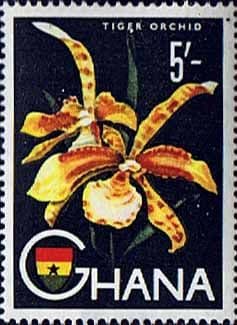 Ghana 1959 SG 224 Flower Tiger Orchid Fine Mint