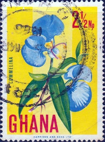 Ghana 1967 New Currency SG 463 Fine Used