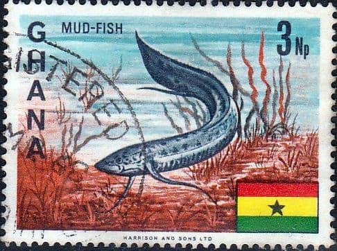 Ghana 1967 New Currency SG 464 Fine Used