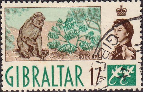 Gibraltar 1960 SG 169 Barbary Ape Fine Used