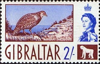 Gibraltar 1960 SG 170 Barbary Partridge Fine Mint