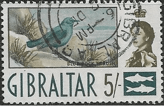 Gibraltar 1960 SG 171 Blue Rock Thrush Fine Used