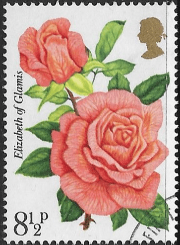 Great Britain 1976 Centenary of Royal National Rose Society SG 1006 Fine Used