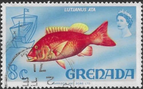 Grenada 1968 Red Snapper SG 311 Fine Used
