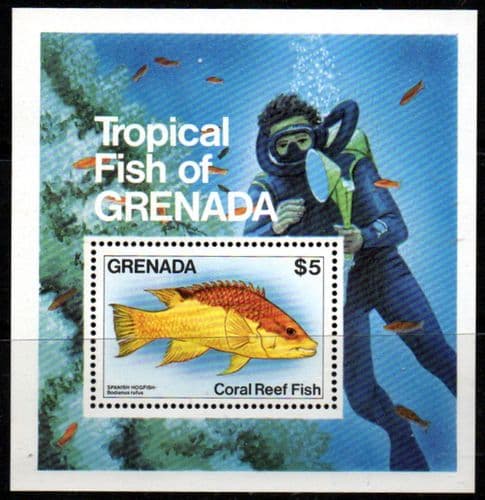 Grenada 1984 Coral Reef Fishes Miniature Sheet Fine Mint
