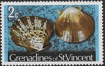 Grenadines of St Vincent 1974 Shells and Molluscs SG 36A Fine Mint