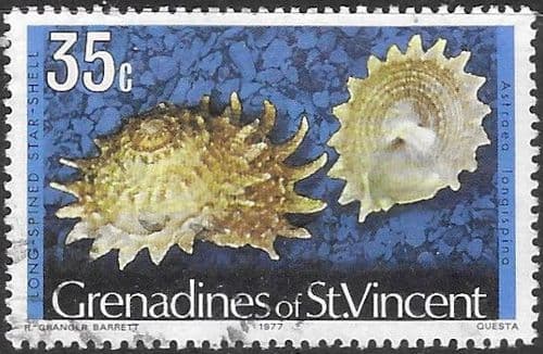 Grenadines of St Vincent 1974 Shells and Molluscs SG 47B Fine UsedUsed