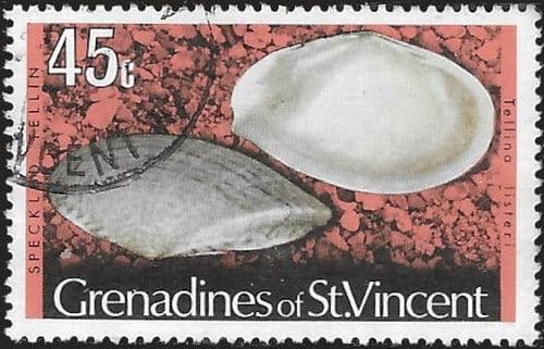 Grenadines of St Vincent 1974 Shells and Molluscs SG 48A Fine Used