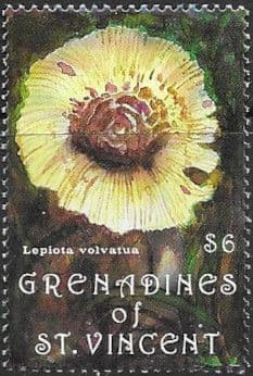 Grenadines of St Vincent 1992 Fungi Extract from MS 850c Fine Mint