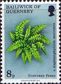 Guernsey 1975 Ferns Sand Quillwort SG 124 Fine Mint