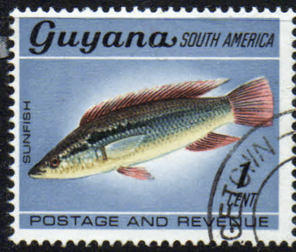 Guyana 1968 Fish Animals and Bird SG 448 Fine Used