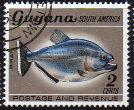 Guyana 1968 Fish Animals and Bird SG 449 Fine Used