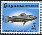 Guyana 1968 Fish Animals and Bird SG 451 Fine Mint