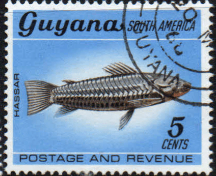 Guyana 1968 Fish Animals and Bird SG 451 Fine Used
