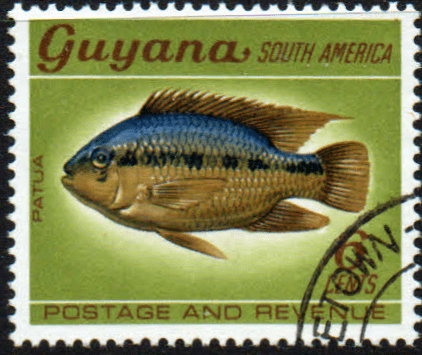 Guyana 1968 Fish Animals and Bird SG 452 Fine Used