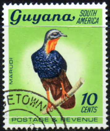 Guyana 1968 Fish Animals and Bird SG 453 Fine Used
