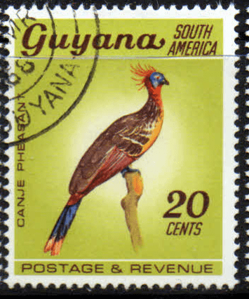 Guyana 1968 Fish Animals and Bird SG 455 Fine Used