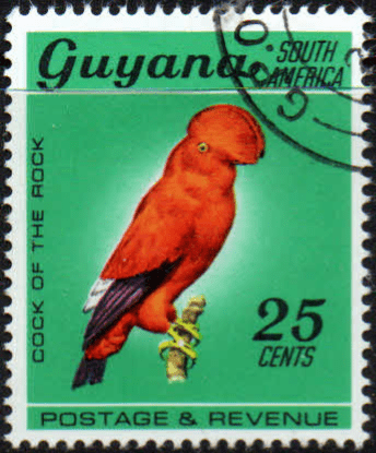 Guyana 1968 Fish Animals and Bird SG 456 Fine Used