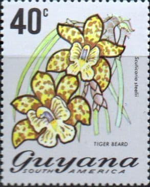 Guyana 1971 Flowering Plants SG 551 Fine Mint