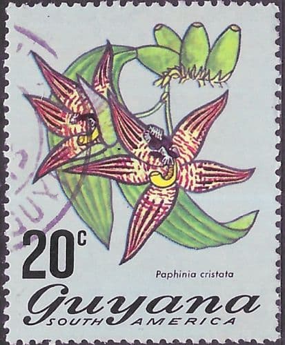 Guyana 1971 Trees and Blossoms SG 549 Paphinia Cristata Fine Used