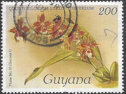 Guyana 1985 Centenary of Publication of Sanders' Reichenbachia (5th issue) SG 1634 Fine Used