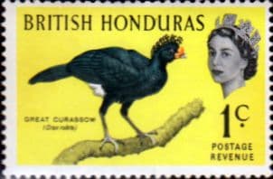 British Honduras 1962 Birds SG 202 Fine Mint