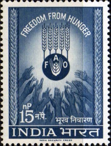 India 1963 Freedom from Hunger SG 466 Fine Mint