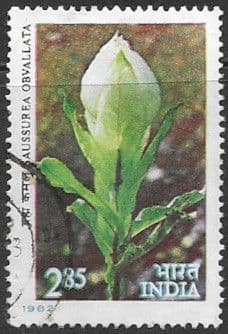 India 1982 Himalayan Flowers SG 1046 Fine Used