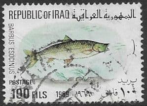 Iraq 1969 Fish SG 828 Fine Used
