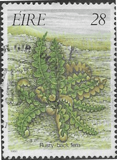 Ireland 1986 Ferns SG 633 Fine Used