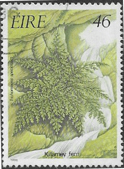 Ireland 1986 Ferns SG 634 Fine Used