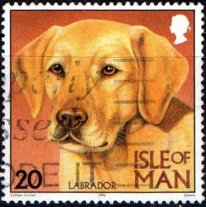 Isle of Man 1996 Dogs SG 719 Fine Used