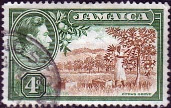 Jamaica 1938 SG 127 Citrus Grove Fine Used