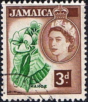 Jamaica 1956 SG 163 Queen Elizabeth and Mahoe Fine Used