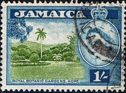Jamaica 1956 SG 168 Queen Elizabeth and Royal Botanical Gardens Fine Used