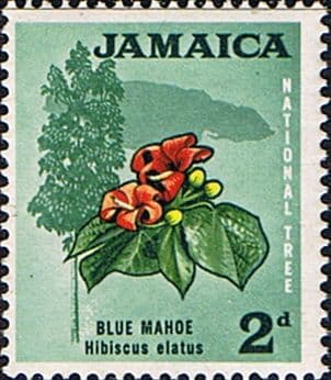Jamaica 1964 SG 219 Flowers Fine Mint
